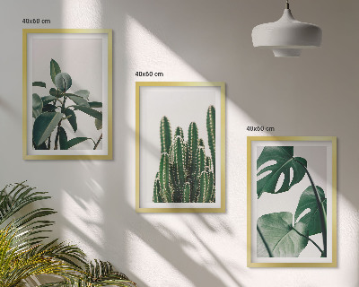 Composição de quadros moderna Plantas tropicais com estética peculiar