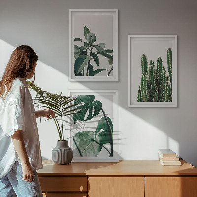 Composição de quadros moderna Plantas tropicais com estética peculiar