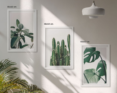 Composição de quadros moderna Plantas tropicais com estética peculiar