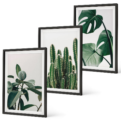 Composição de quadros moderna Plantas tropicais com estética peculiar