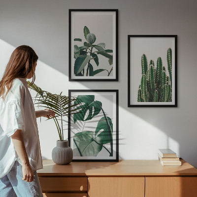 Composição de quadros moderna Plantas tropicais com estética peculiar