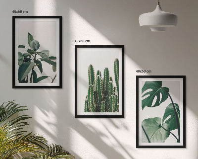 Composição de quadros moderna Plantas tropicais com estética peculiar