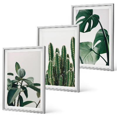 Composição de quadros moderna Plantas tropicais com estética peculiar