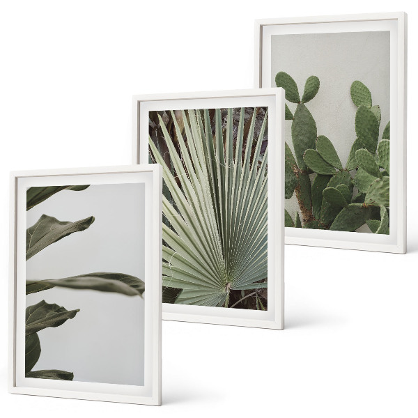 Composição de quadros moderna Folhas de plantas tropicais em tons pastel