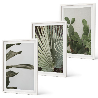 Composição de quadros moderna Folhas de plantas tropicais em tons pastel