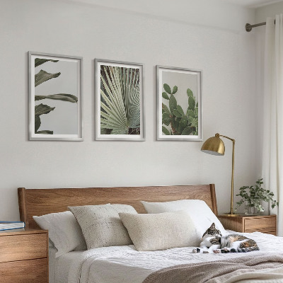 Composição de quadros moderna Folhas de plantas tropicais em tons pastel