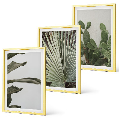 Composição de quadros moderna Folhas de plantas tropicais em tons pastel