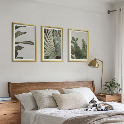 Composição de quadros moderna Folhas de plantas tropicais em tons pastel