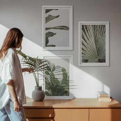 Composição de quadros moderna Folhas de plantas tropicais em tons pastel