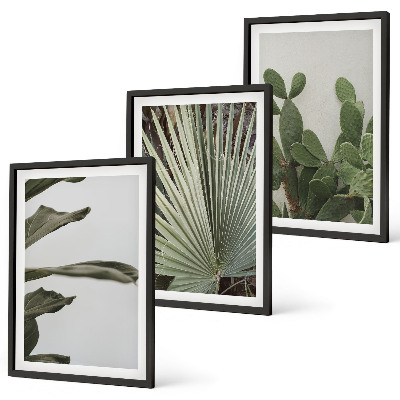 Composição de quadros moderna Folhas de plantas tropicais em tons pastel