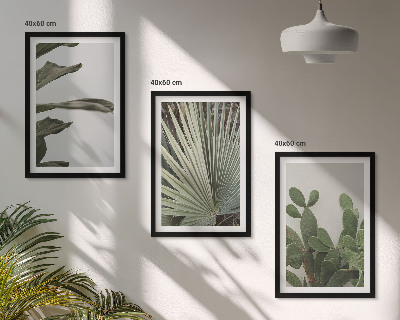 Composição de quadros moderna Folhas de plantas tropicais em tons pastel