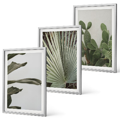 Composição de quadros moderna Folhas de plantas tropicais em tons pastel