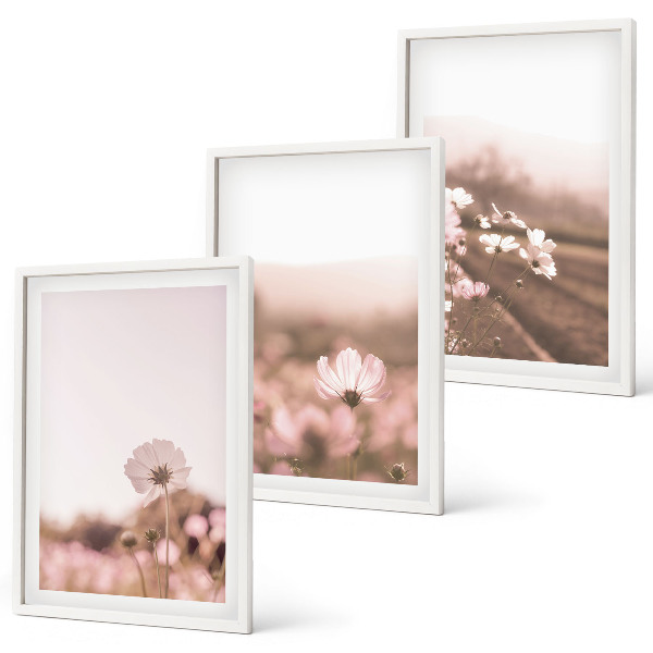 Composição de quadros moderna Prados de flores silvestres, paisagens de verão