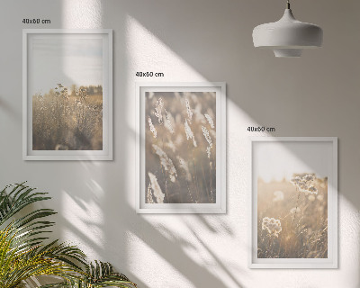 Conjunto de 3 quadros com moldura Gramado paisagístico, flores, calor