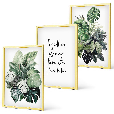 Conjunto de quadros para sala de estar Folhas verdes de plantas tropicais