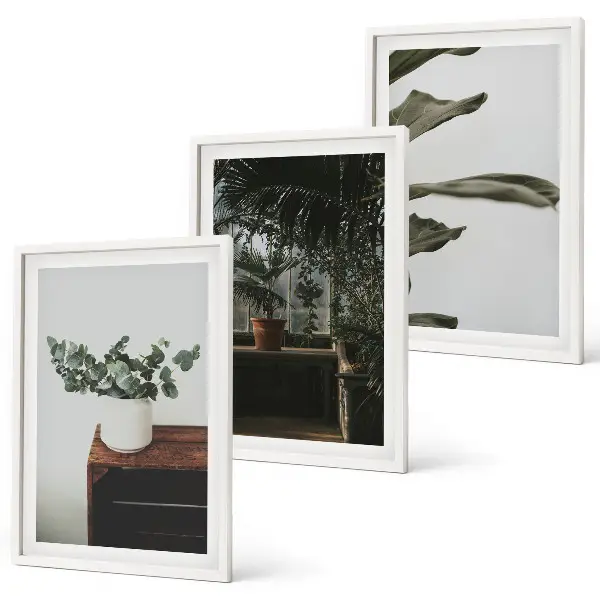 Conjunto de quadros decorativos estampa de plantas rústicas em vasos