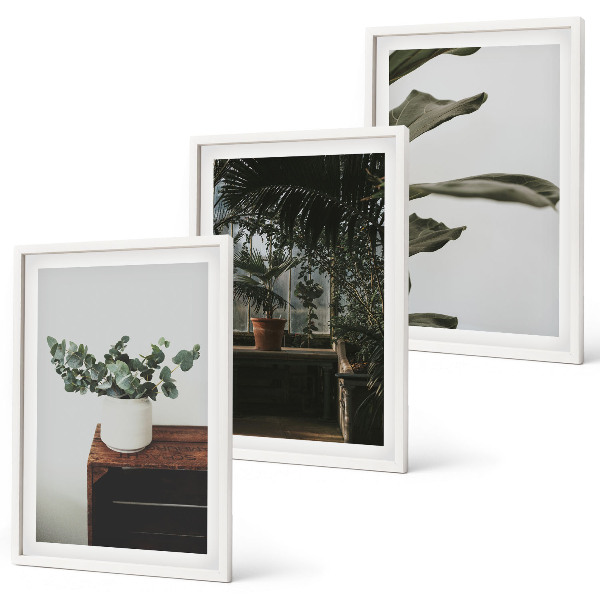 Composição de quadros moderna Plantas rústicas em vasos