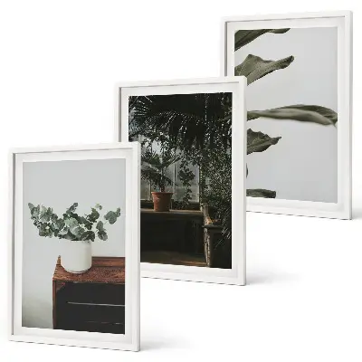 Conjunto de quadros decorativos estampa de plantas rústicas em vasos