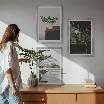 Composição de quadros moderna Plantas rústicas em vasos