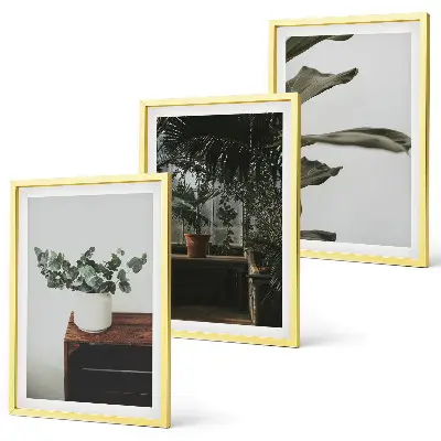 Conjunto de quadros decorativos estampa de plantas rústicas em vasos