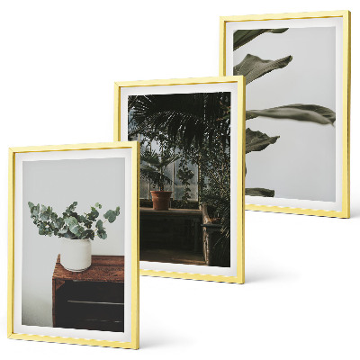 Composição de quadros moderna Plantas rústicas em vasos