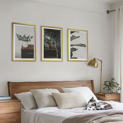 Composição de quadros moderna Plantas rústicas em vasos