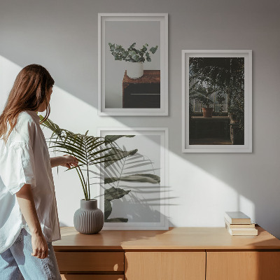 Composição de quadros moderna Plantas rústicas em vasos