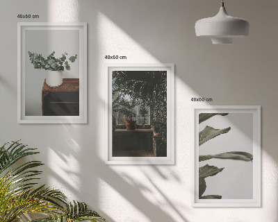 Composição de quadros moderna Plantas rústicas em vasos