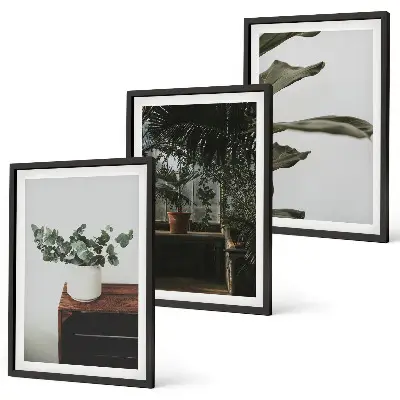 Conjunto de quadros decorativos estampa de plantas rústicas em vasos