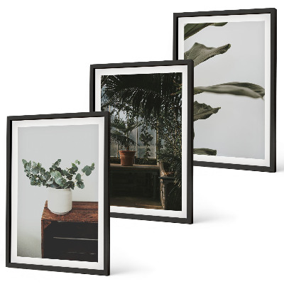 Composição de quadros moderna Plantas rústicas em vasos
