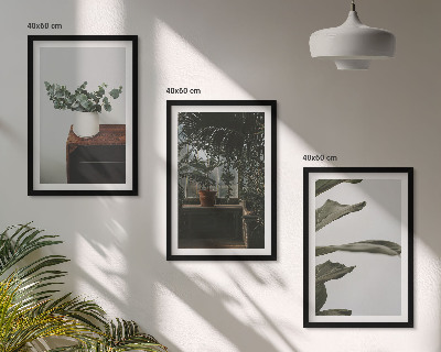 Composição de quadros moderna Plantas rústicas em vasos