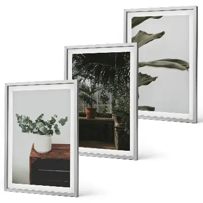 Conjunto de quadros decorativos estampa de plantas rústicas em vasos