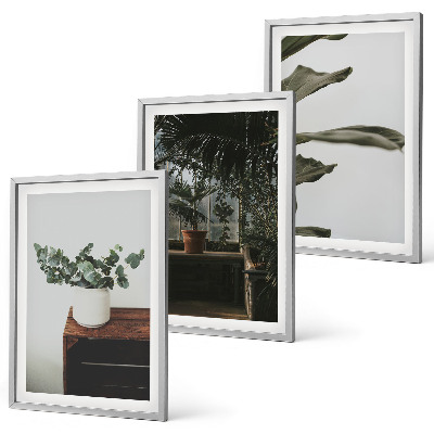 Composição de quadros moderna Plantas rústicas em vasos