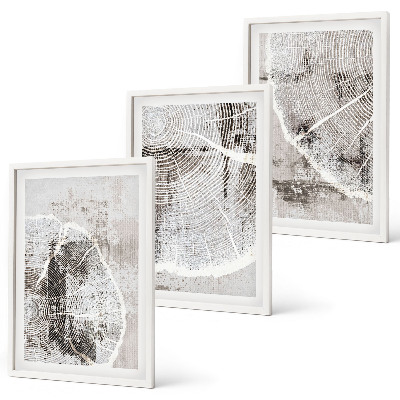 Conjunto de quadros para sala de estar Padrões de grãos de madeira cinza