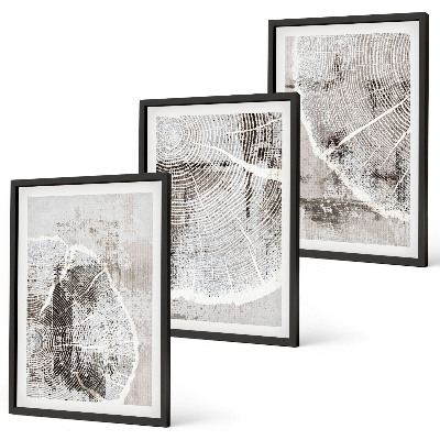 Conjunto de quadros para sala de estar Padrões de grãos de madeira cinza