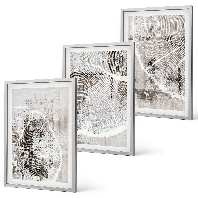 Conjunto de quadros para sala de estar Padrões de grãos de madeira cinza