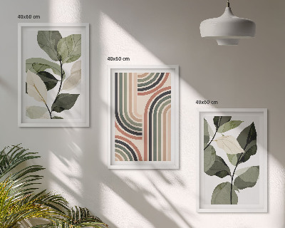 Conjunto de 3 quadros com moldura Motivos geométricos de plantas