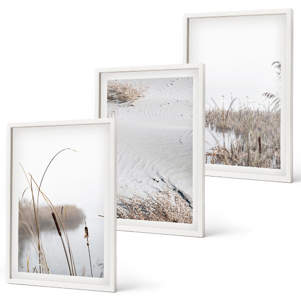 Conjunto de 3 quadros com moldura Vegetação aquática no verão
