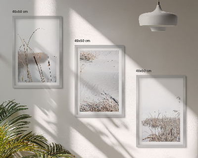 Conjunto de 3 quadros com moldura Vegetação aquática no verão