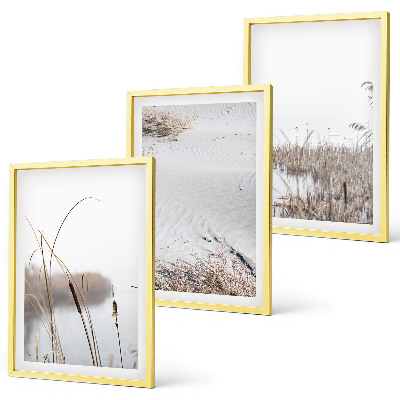 Conjunto de 3 quadros com moldura Vegetação aquática no verão