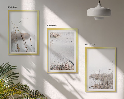 Conjunto de 3 quadros com moldura Vegetação aquática no verão