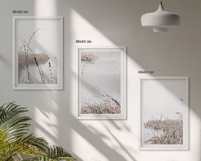 Conjunto de 3 quadros com moldura Vegetação aquática no verão
