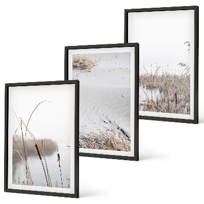 Conjunto de 3 quadros com moldura Vegetação aquática no verão