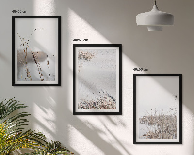 Conjunto de 3 quadros com moldura Vegetação aquática no verão