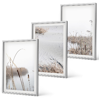 Conjunto de 3 quadros com moldura Vegetação aquática no verão