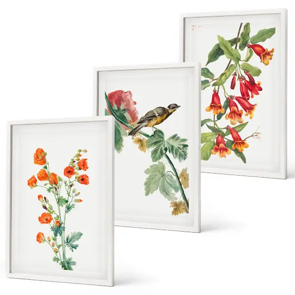 Conjunto de quadros decorativos modernos com flores pintadas e pássaro
