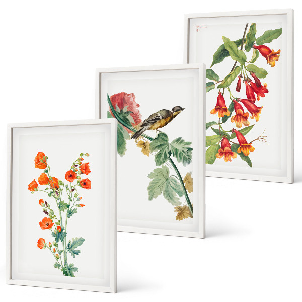 Composição de quadros moderna Flores pintadas e um pássaro