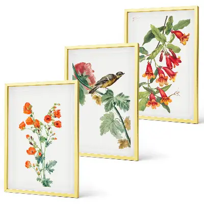 Conjunto de quadros decorativos modernos com flores pintadas e pássaro