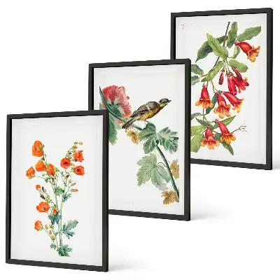 Conjunto de quadros decorativos modernos com flores pintadas e pássaro