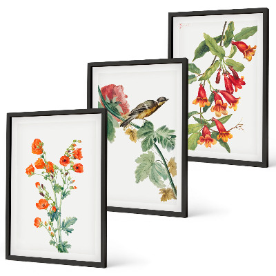 Composição de quadros moderna Flores pintadas e um pássaro